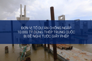 Đơn vị tố dự án chống ngập 10.000 tỷ dùng thép Trung Quốc bị đề nghị tước giấy phép